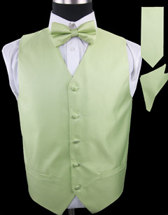 VS804-APPLE GREEN