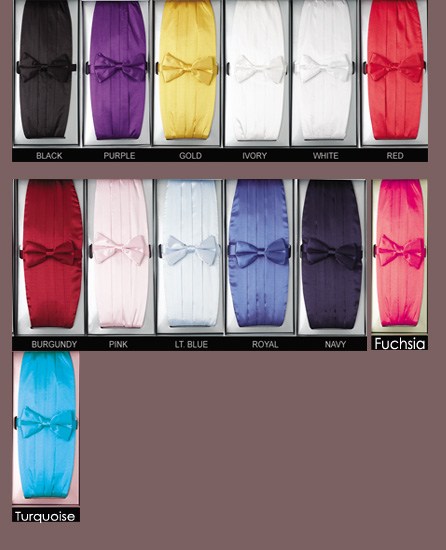 CUMMERBUND MULTI